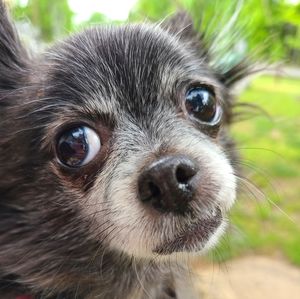 Meet your Posher, Chrystal